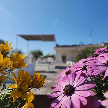 Terra Mia A Mare