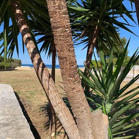 Terra Mia A Mare